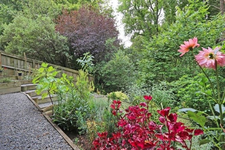 Photo of property in 5 George Place, Havelock North, 4130