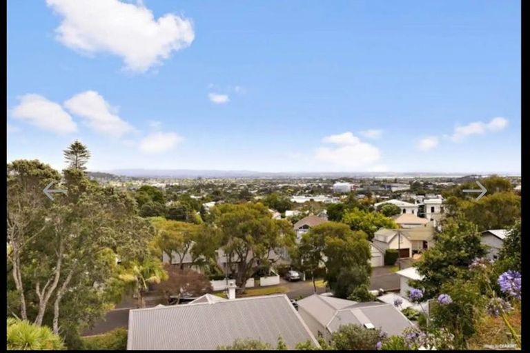 Photo of property in 18 Charlton Avenue, Mount Eden, Auckland, 1024