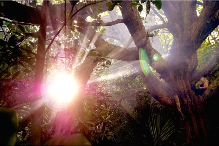 Photo of property in 4 Te Pahi River Drive, Paparoa, Maungaturoto, 0583