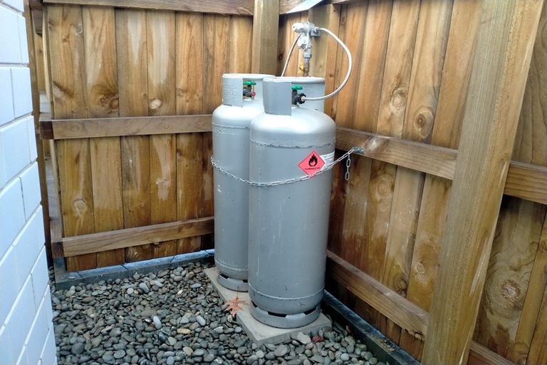 Photo of property in 149a Hagart-alexander Drive, Mosgiel, 9024