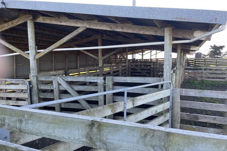 Photo of property in 64 Smiths Road, Matua, Tauranga, 3110