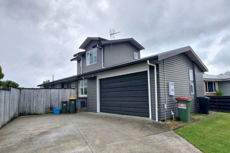 Photo of property in 21 Donny Avenue, Chartwell, Hamilton, 3210
