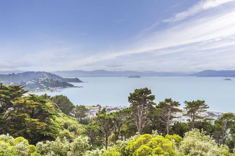 Photo of property in 13 Signallers Grove, Strathmore Park, Wellington, 6022