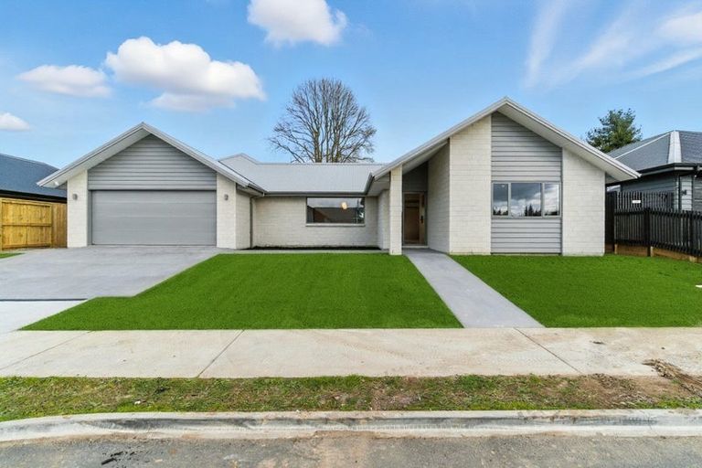 Photo of property in 3 Hauhake Terrace, Leamington, 3495