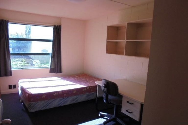 Photo of property in Te Awhina Apartments, 18/22 Sussex Street, Mount Cook, Wellington, 6021