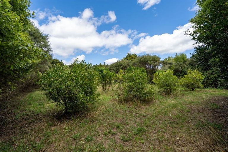 Photo of property in 3687 State Highway 12, Taheke, Kaikohe, 0473