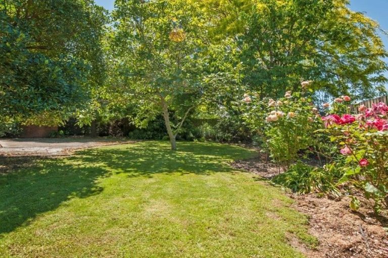 Photo of property in 26 D'arcy Street, Leeston, 7632