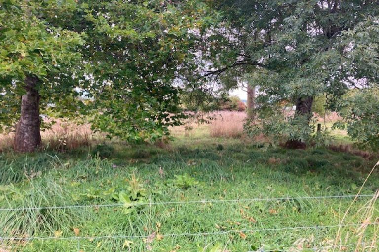 Photo of property in 23 Durham Street, Tapanui, 9522