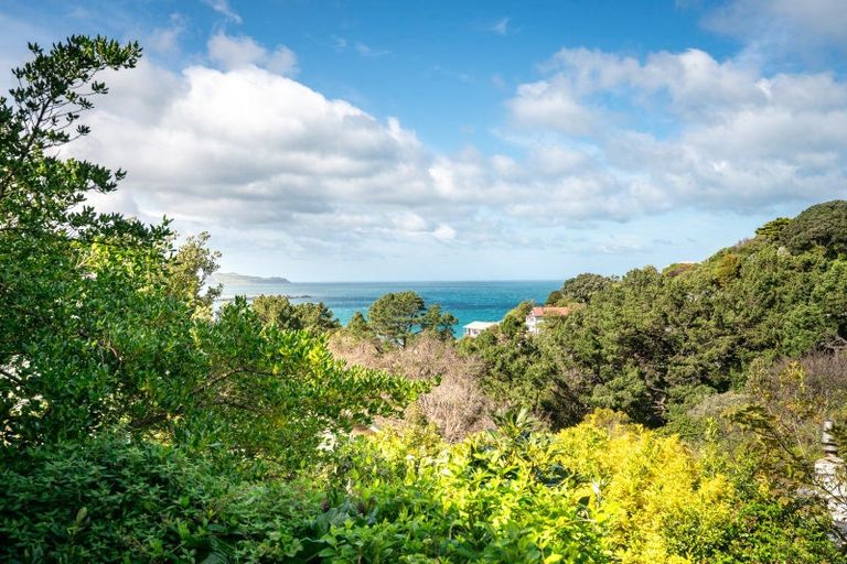 Photo of property in 36 Tavistock Road, Melrose, Wellington, 6023