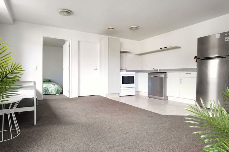 Photo of property in Palm Grove Apartments, 13/13c Palm Grove, Berhampore, Wellington, 6023