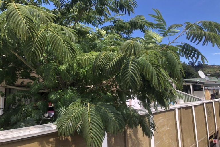 Photo of property in 2/1 Angle Street, Picton, 7220