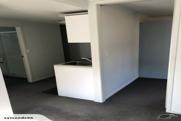 Photo of property in 96 Symonds Street, Royal Oak, Auckland, 1061