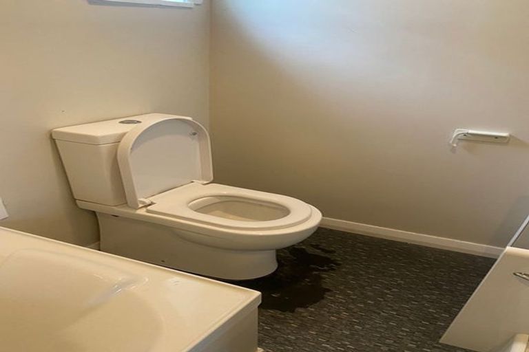 Photo of property in 11 Totara Street, Trentham, Upper Hutt, 5018