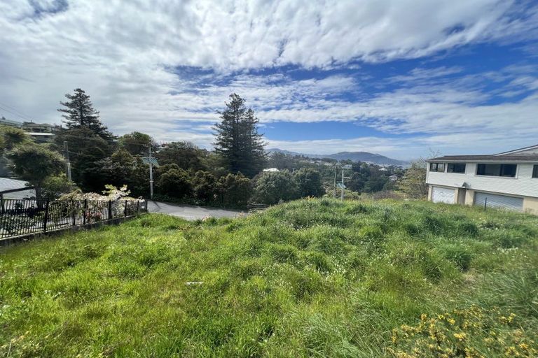Photo of property in 106 Maryhill Terrace, Maryhill, Dunedin, 9011