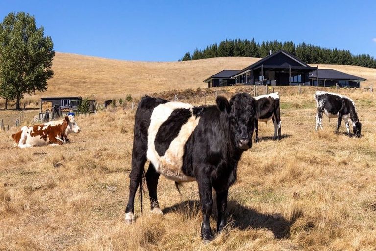 Photo of property in 250 Delta Lake Heights, Renwick, 7271