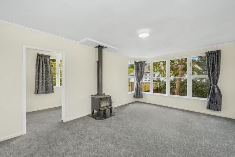Photo of property in 50 Sare Crescent, Fairfield, Hamilton, 3214