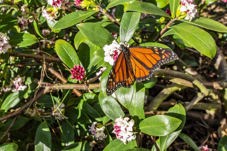 Photo of property in 6a Edward Street, Lincoln, 7608