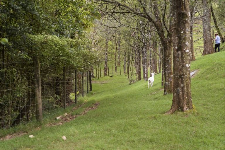 Photo of property in 52c Williams Road South, Pyes Pa, Tauranga, 3173