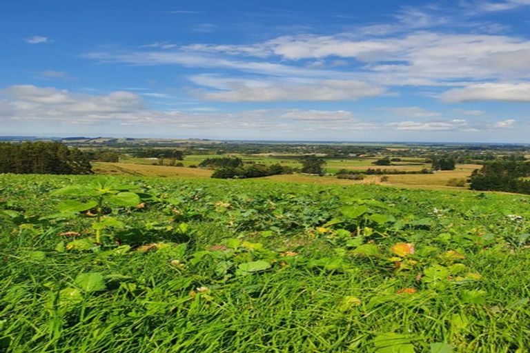 Photo of property in 743 Bay Road, Oxford, 7430