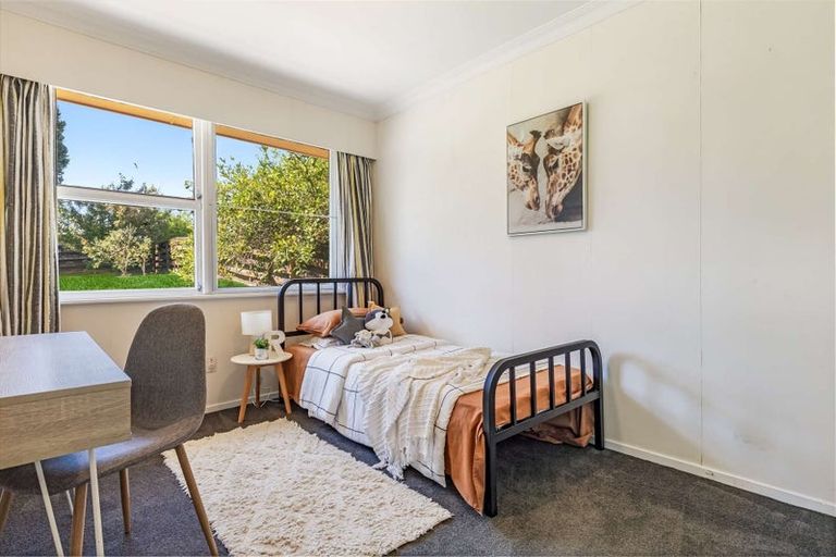 Photo of property in 19 Warwick Place, Brookfield, Tauranga, 3110