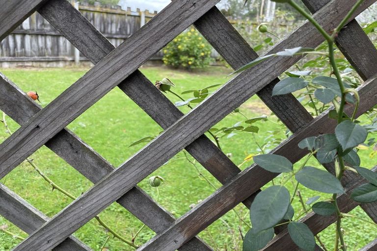 Photo of property in 1/122 Archers Road, Glenfield, Auckland, 0629