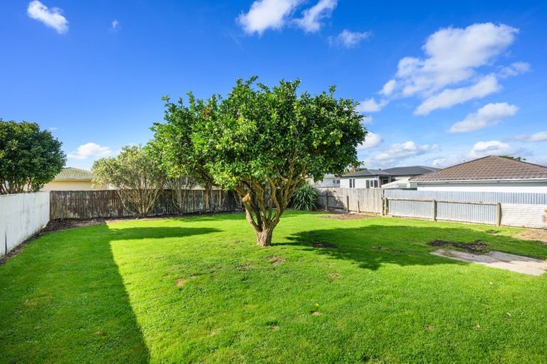 Photo of property in 33 Manchester Street, Takaro, Palmerston North, 4412