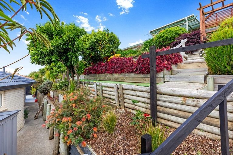 Photo of property in 4 Palm Court, Mount Maunganui, 3116
