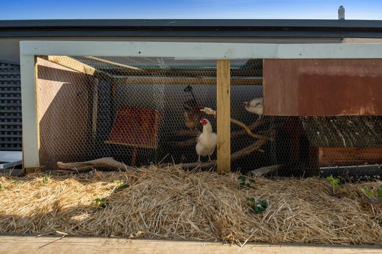 Photo of property in 16a Pitchill Street, Mayfield, Blenheim, 7201