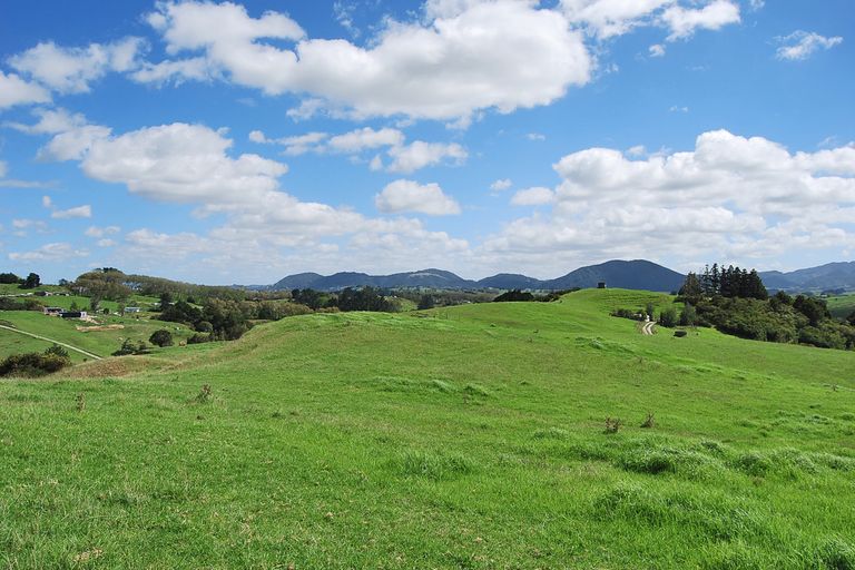 Photo of property in 62 Kiwi Lane, Kaiwaka, 0573