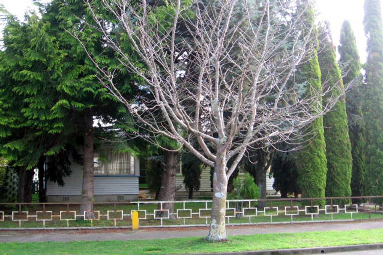 Photo of property in 17 Buick Crescent, Awapuni, Palmerston North, 4412