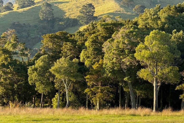 Photo of property in 194 Underhill Road, Woodside, Greytown, 5794