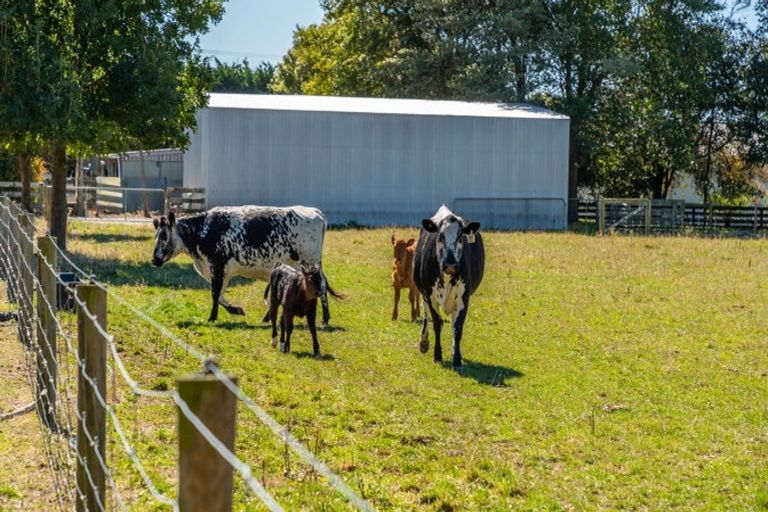 Photo of property in 645 Tancreds Road, Lincoln, Christchurch, 7676