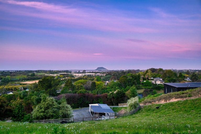 Photo of property in 39 Corbett Drive, Minden, Tauranga, 3176