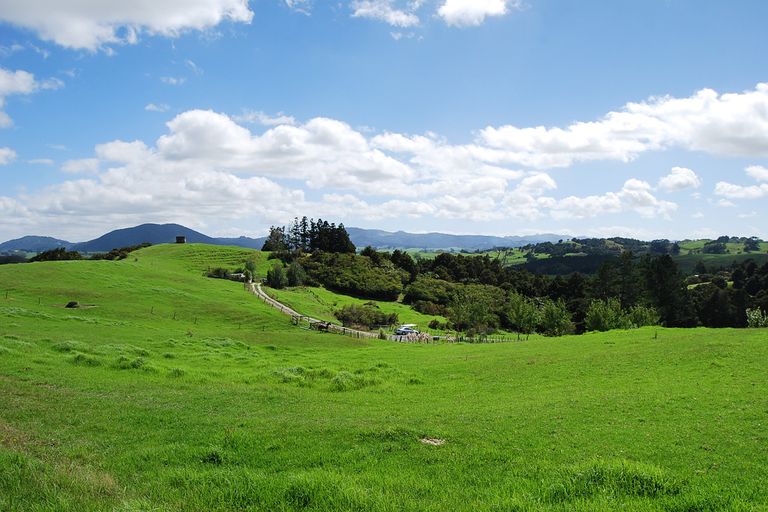 Photo of property in 62 Kiwi Lane, Kaiwaka, 0573