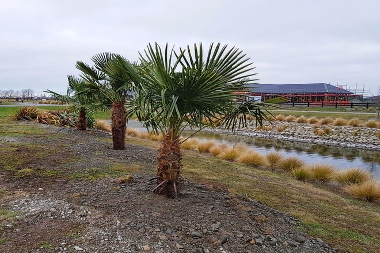 Photo of property in 137 Lake Hood Drive, Huntingdon, Ashburton, 7774