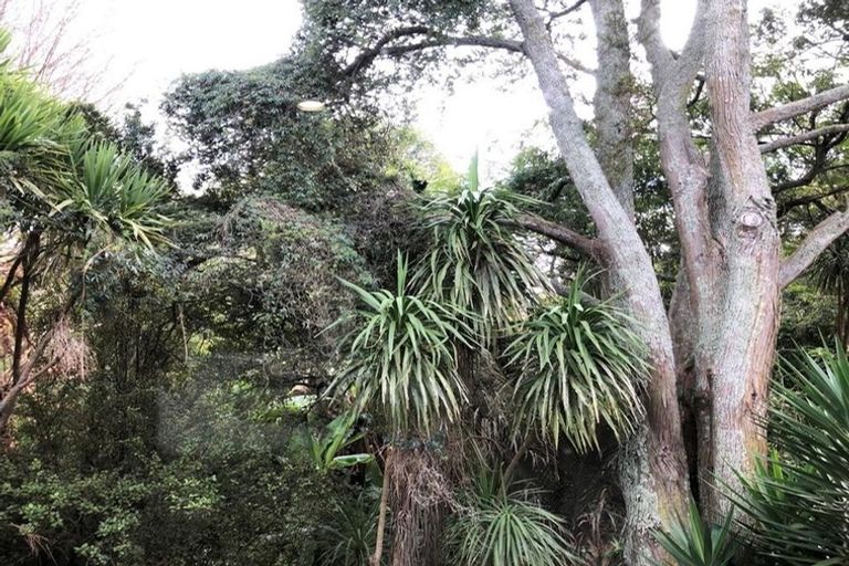 Photo of property in 14a Wattle Street, New Lynn, Auckland, 0600