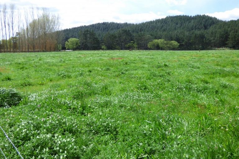 Photo of property in 419 Macdonald Road, Te Teko, Whakatane, 3192