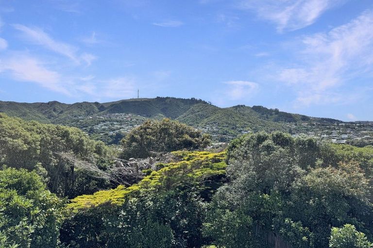 Photo of property in 212 Cockayne Road, Ngaio, Wellington, 6035