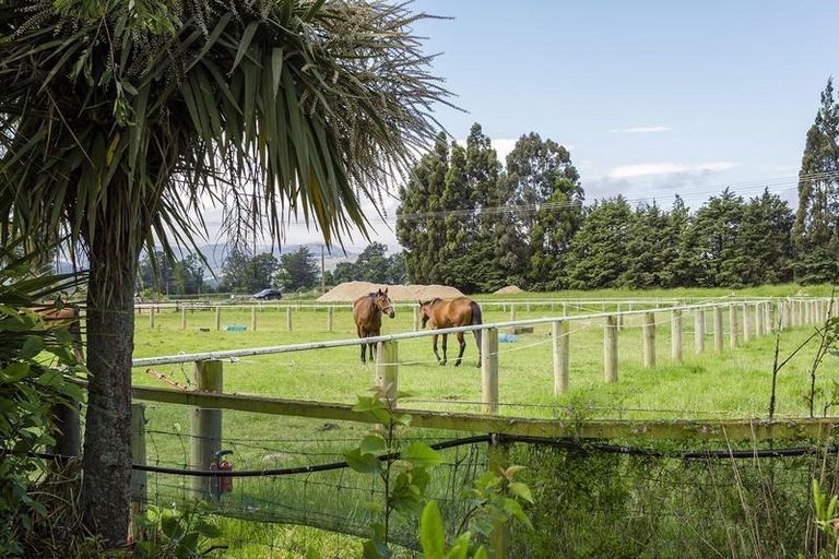 Photo of property in 22 Dukes Road North, Mosgiel, 9092