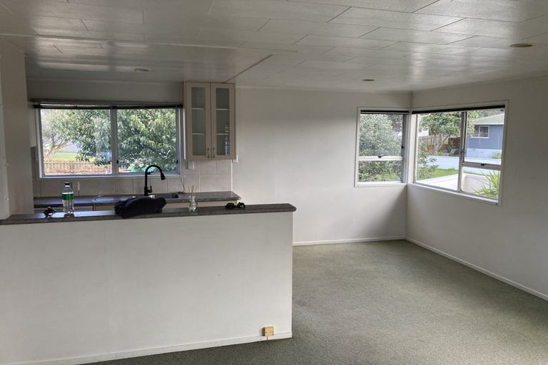 Photo of property in 40 Larissa Avenue, Henderson, Auckland, 0610