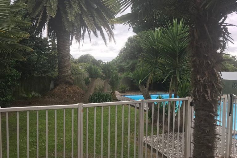 Photo of property in 44 Tomin Road, Glenview, Hamilton, 3206