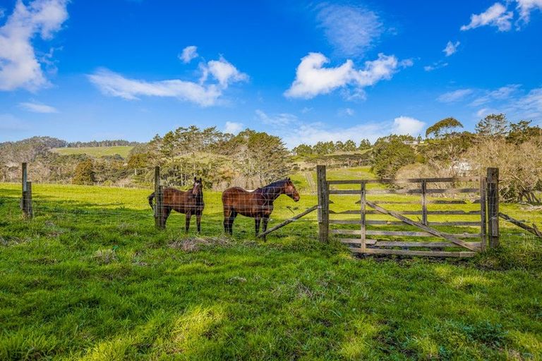 Photo of property in 276 Taiapa Road, Muriwai, 0881