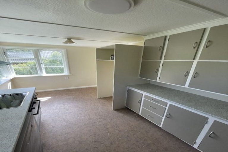 Photo of property in 25 Lowe Street, Liberton, Dunedin, 9010