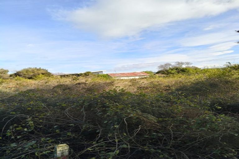 Photo of property in 903a Harington Point Road, Harington Point, Dunedin, 9077