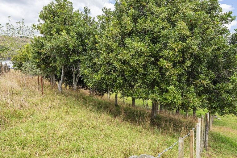 Photo of property in 183 Kara Road, Maungatapere, Whangarei, 0179