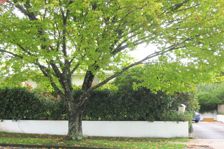 Photo of property in 16 Baird Road, Tokoroa, 3420
