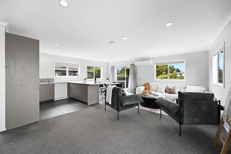 Photo of property in 145a Seddon Road, Frankton, Hamilton, 3204