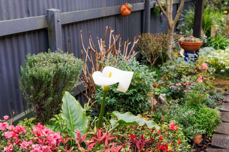 Photo of property in 1a Haggitt Street, Feilding, 4702