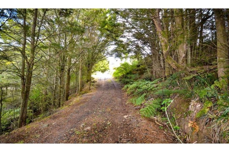 Photo of property in 72 Morris Lane, Kerikeri, 0294