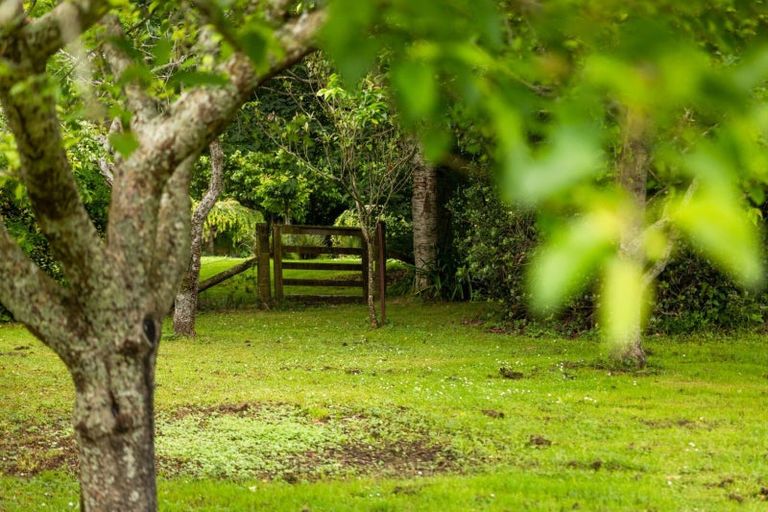 Photo of property in 42 Lawrence Road, Waihi, 3610